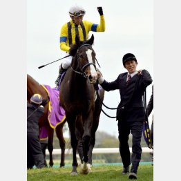 皐月賞馬が復活を目指す