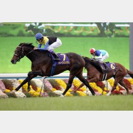 4枠の優勝はディープインパクトが最後