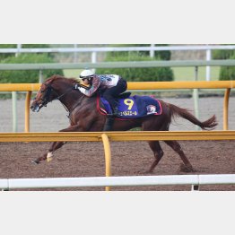 北村宏も手応え十分