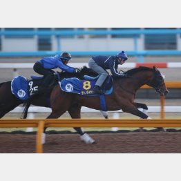貫録の半馬身先着(右)