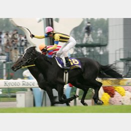 06年は神戸新聞杯③着のソングオブウインドが8番人気で勝利