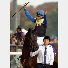 昨年はラブリーデイが美酒