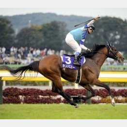 09年にはカンパニーが連勝