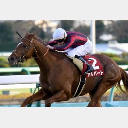 ステイヤーズSで初重賞勝ち