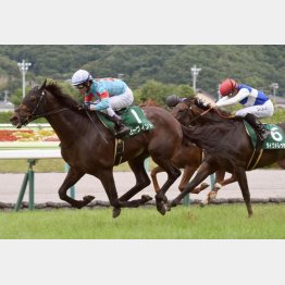ラジオNIKKEI賞を勝利