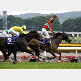 ウオッカを破り、藤田がガッツポーズを決めた08年ヴィクトリアM