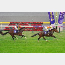 モーリスは鞍上ムーアでGI3勝