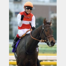 昨年は牝馬ショウナンパンドラが制した