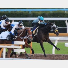 清水久師も満点ジャッジのキタサンブラック