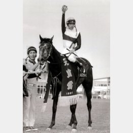 強かった!(91年、春天を制したメジロマックイーン)