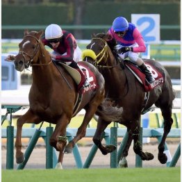 昨年は5馬身差の圧勝