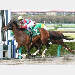 4月にアンタレスS勝ち