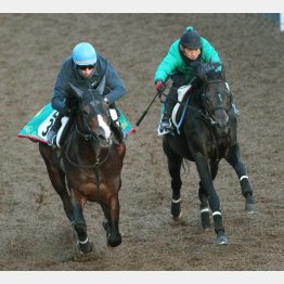 今週はリアファル(左)と併せた