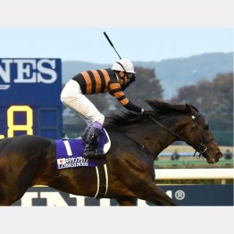 キタサンブラックが勝ったとなれば……
