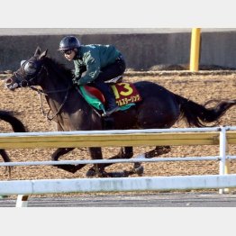 先週の併せ馬で好気配
