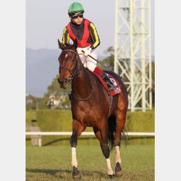 前走で重賞ウイナーに