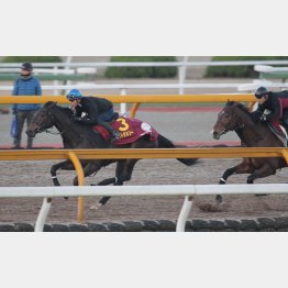 3歳馬(右)に先着を果たした
