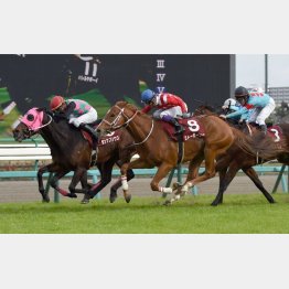 ニュージーランドTでは100万馬券に……