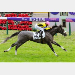 10月の東京で500万下を快勝したスモークフリー