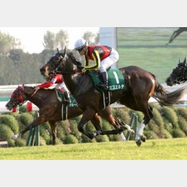 圧巻の末脚でファンタジーSに勝利