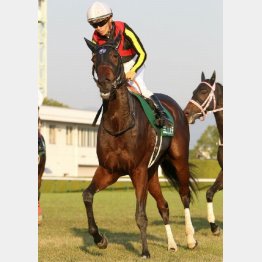 “怪物”の娘が牡馬に立ち向かう