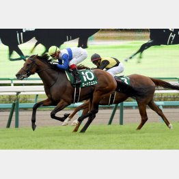 秋初戦の京成杯AHは②着だった(右)