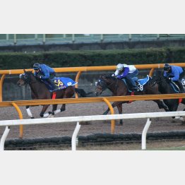 相手2頭に2馬身s延着(左がミッキー)