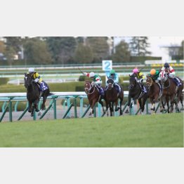 先週の阪神JFは上位人気3頭で決着
