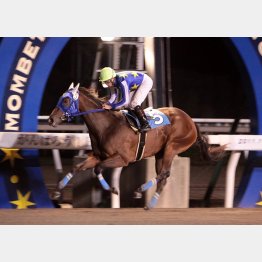 共有愛馬エンジェルツイートが道営の「サッポロクラシック」を勝って…