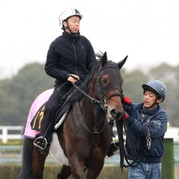 北村宏騎手との呼吸もピッタリ