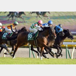 ステファノスは14年富士S以来の勝利を目指す