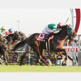 暮れのこのレースを差し切り