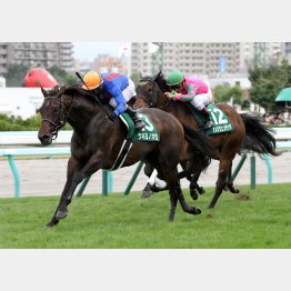 キーンランドCを3角最後方から差し切ったウキヨノカゼ