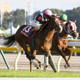 京王杯2歳Sを快勝