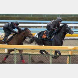 馬なりで1馬身先着した(右)