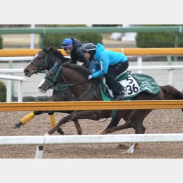手綱を取った武豊(奥)は「1週前よりいい」