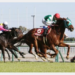 金鯱賞を差し切り