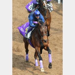 馬なりで相手を突き放した