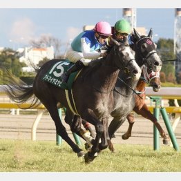 クイーンCで3連勝