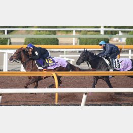 豪快に相手を突き放したスワーヴリチャード(左)