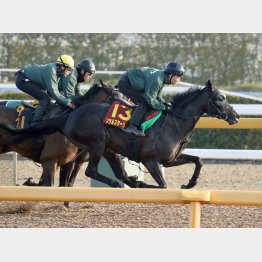 馬なりで最後は3頭併入(ソウルは右)