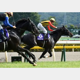 安田記念Vもこの勝負服