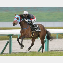 ポンポンポンと3連勝