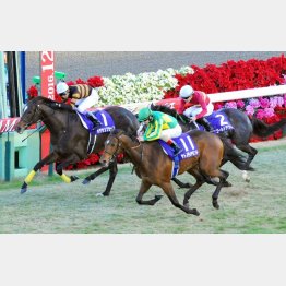 有馬記念の②着③着も……