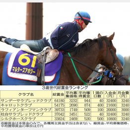 一口馬主 儲かるクラブの見つけ方 日刊ゲンダイ競馬