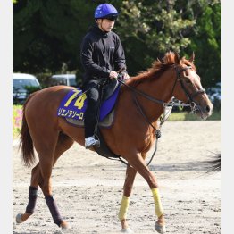 リエノテソーロは芝でも2勝