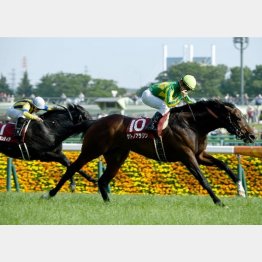 昨年はサトノアラジンがV