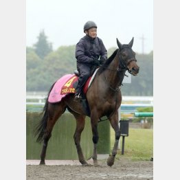 ウキヨノカゼで2週連続万馬券?