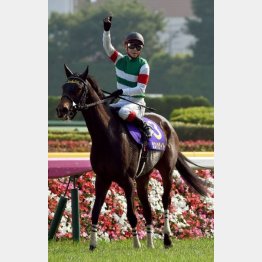 昨年はシンハライトが勝利