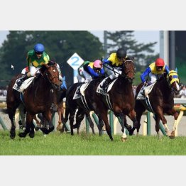 昨年はマカヒキがサトノダイヤモンドに鼻差競り勝ち
